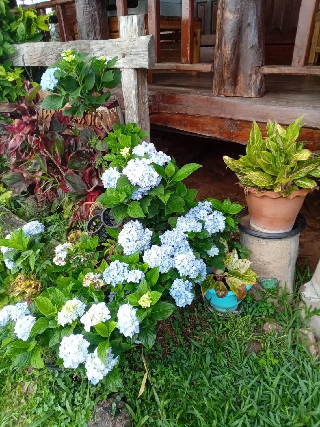 Phu Aram Khao Kho Resort Zewnętrze zdjęcie